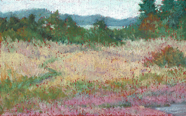 2020 08 31 Late Summer Salt Marsh