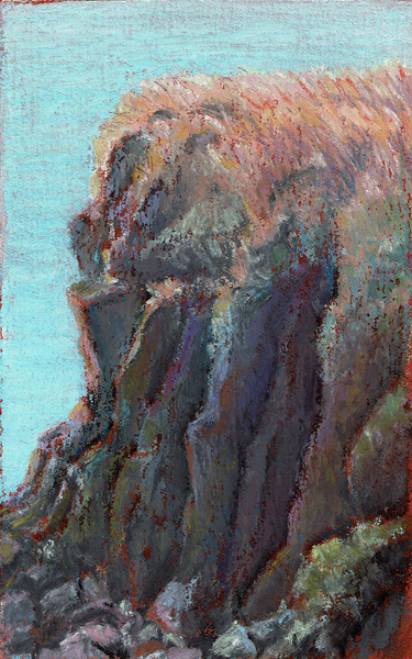 2020 7 Cliff 1