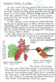 2020 Journal 10 copy