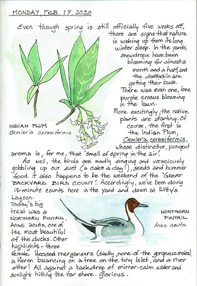 2020 Journal 1 copy