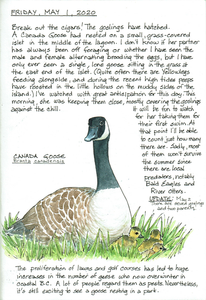 2020 Journal 48 copy
