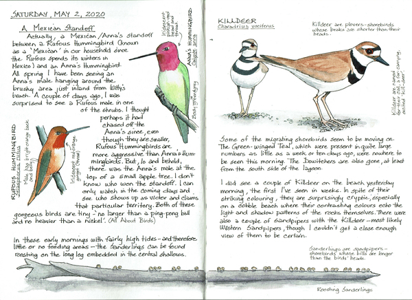 2020 Journal 49 & 50 copy