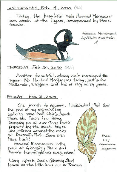 2020 Journal 5 copy