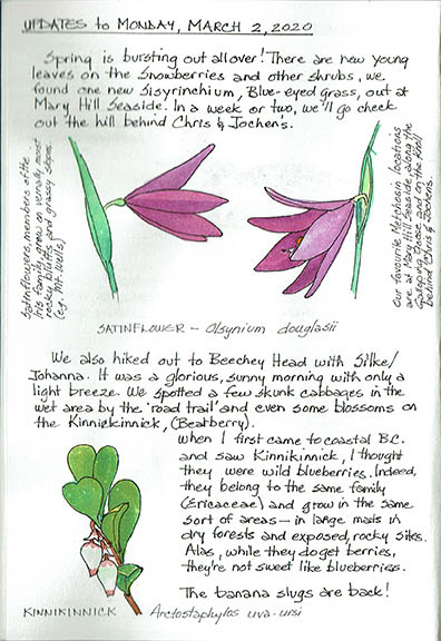 2020 Journal 6 copy