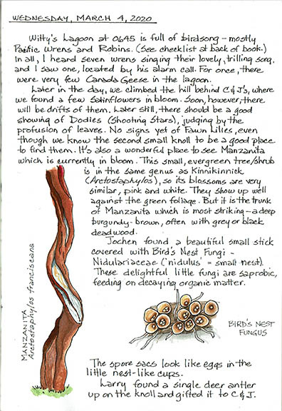 2020 Journal 7 copy