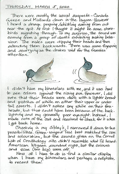 2020 Journal 8 copy
