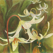 Lilies