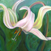 Lily V, 2010